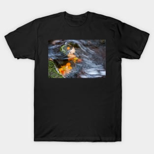 Autumn leaves, Peak District T-Shirt